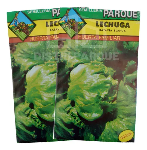 [11564] * SEMILLAS LECHUGA BATAVIA ART. 135