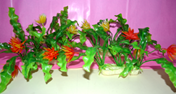 [11655] * PLANTA PECERAS ART. XK 002