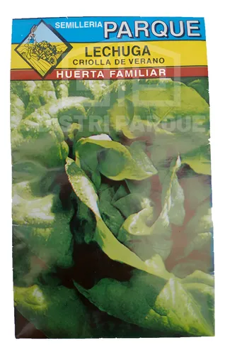 [11664] * SEMILLAS LECHUGA CRIOLLA ART. 145