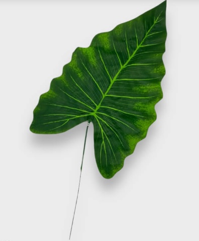[12086] HOJA DE ALOCASIA 47 CM. TF-02272