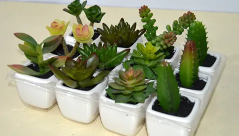 [13523] * CACTUS ARTIFICIAL ART. 17190