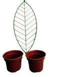 [13676] HOJA GRANDE DE PARED CON 2 AROS 290