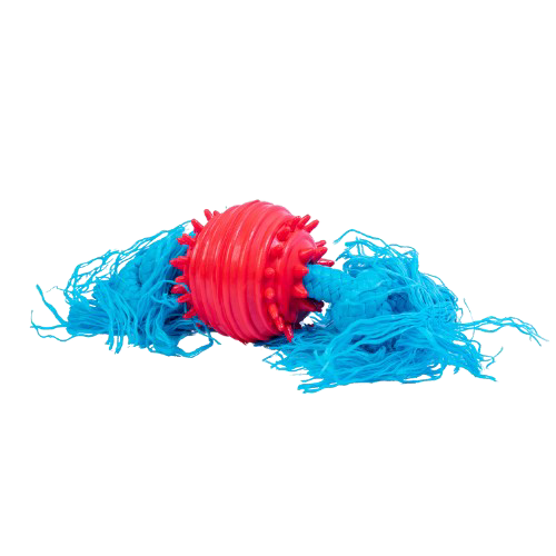 [14202] HUESO DE HILO CON PELOTA 60 MM. HH60H