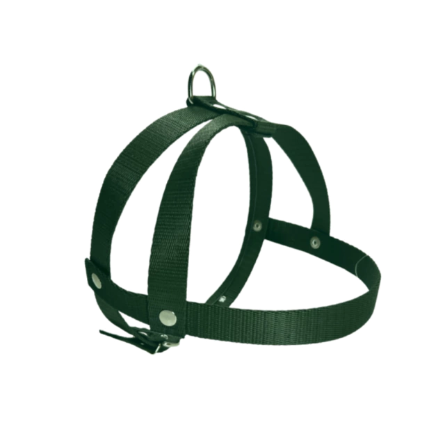 [14247] PRETAL FIJO N° 5