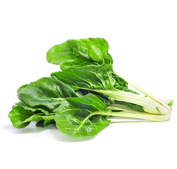 [14489] ACELGA BLANCA DE LYON DOY PACK X 1 KG.