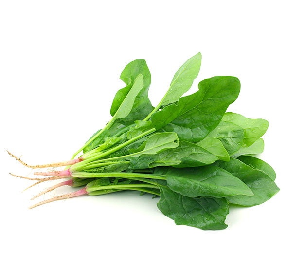 [14493] ESPINACA SUPER DORREGO DOY PACK X 1 KG. IMPORTADO